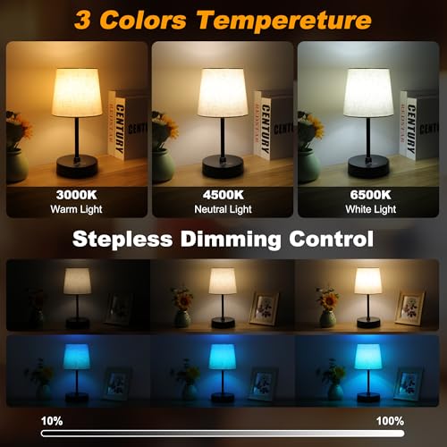 Ascher Small Bedside Table lamp, RGB Color Changing Lamps, 3 Color Temperatures, Dimmable Nightstand Lamp with USB C+A Por...