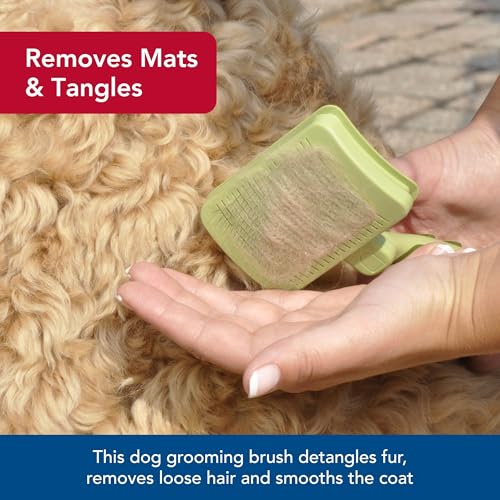 Coastal Pet Safari Dog Self-Cleaning Slicker Brush - Dog Deshedding Brush - Prevents Mats and Tangled Hair - For Dogs with...