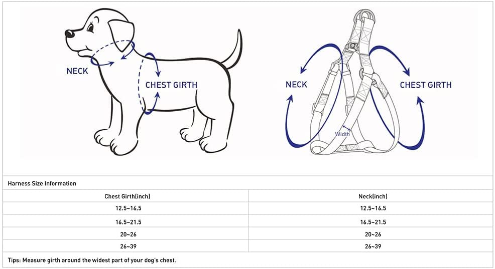 Blueberry Pet Essentials Step-in Reflective Back to Basics Dog Harness, Rouge Red, Chest Girth 16.5" - 21.5", Small, Adjus...