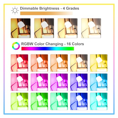 Droiee Dimmable E26 Warm LED Light Bulb, 6W RGBW Color 500LM with 16 Color Changing Modes for Christmas, Party etc with Re...