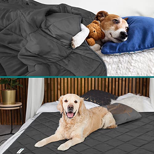 PetAmi Premium Cooling Dog Blanket | Lightweight Fluffy Pet Throw Blanket Bed Cover for Dogs, Cat, Puppies | Pet Blanket F...
