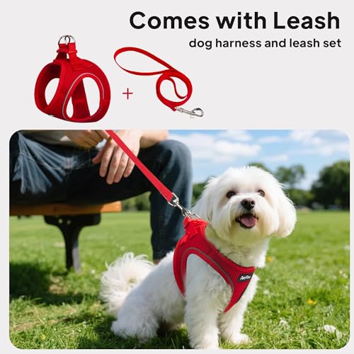 PetiFine Step in Small Dog Harness and Leash Set, Breathable All Weather Air Mesh Reflective Escape Proof, Step-in Vest Ha...
