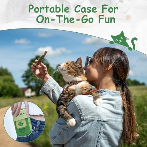 Nocciola 3 Pack Catnip Toys for Cats, Funny Cat Toys Filled with 100% Pure Organic Catnip, Safe Kitten Teething Chew and K...