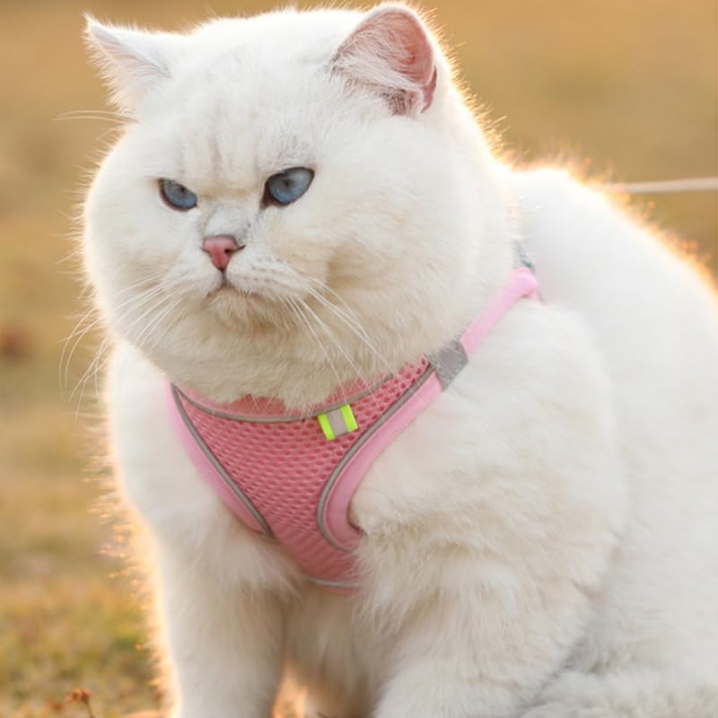HIPVMES Cat Harness and Leash Set Soft Adjustable Escape Proof Cat Leash Breathable Comfortable Vest Easy to Wear Kitten/S...