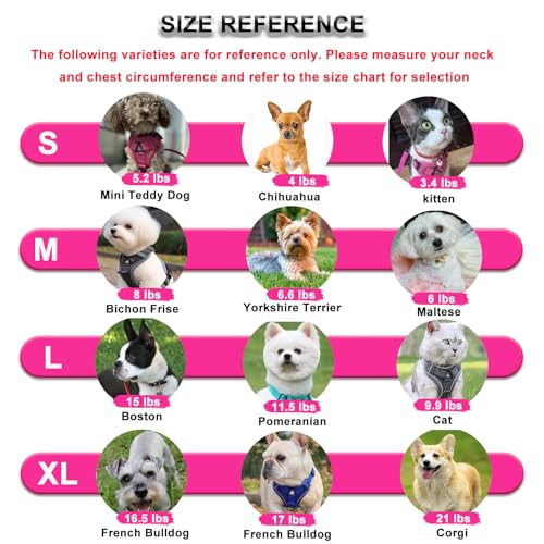 SOLMOONY Small Dog Harness,Soft Mesh Puppy Harness and Leash Set,No Escape Cat Harnesses for Training Walking,Reflective A...