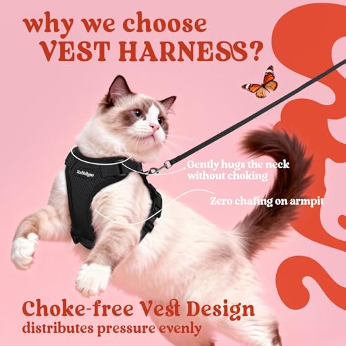 rabbitgoo Cat Harness and Leash for Walking, Escape Proof Soft Adjustable Vest Harnesses for Cats, Easy Control Breathable...