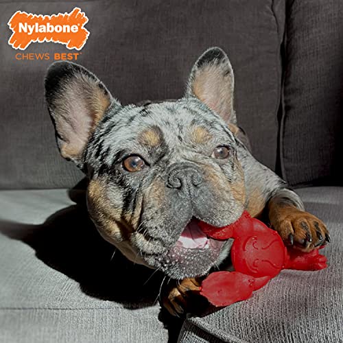Nylabone Lobster Power Chew Toy for Dogs, Dog Toys for Aggressive Chewers, Filet Mignon Flavor, Small Dogs - Up to 25 Ibs,...