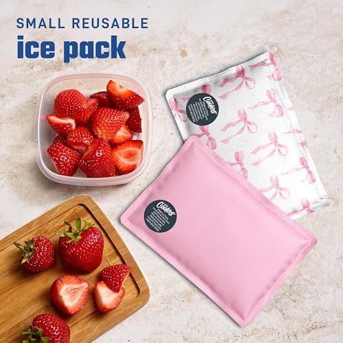 Fit & Fresh Cool Coolers 2 Pack Soft Ice for Lunch Bags, Flexible Stretch Nylon, Durable, Reusable Lunch Box Ice Packs, So...