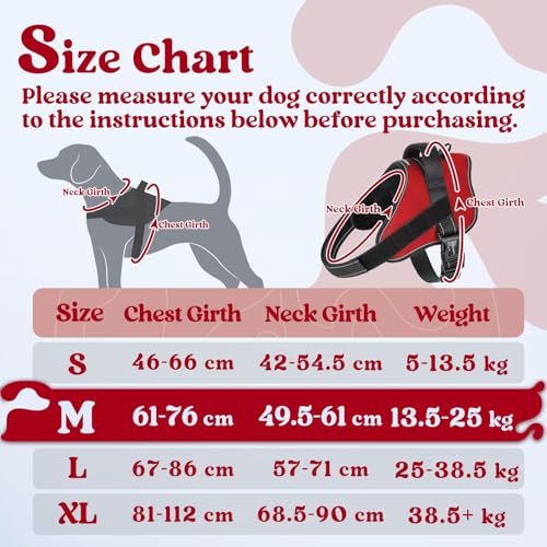rabbitgoo Dog Harness Medium Sized Dog, Easy Wearing with One Buckle, No Choke No Pull Harness Buddy, Adjustable Reflectiv...
