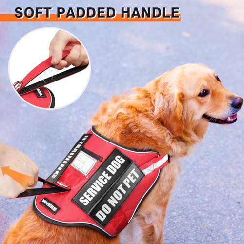 Service Dog Harness and Leash Set, Training Dog Vest with 10 Dog Patches, Emotional Support Therapy Dog Vest Harness for S...