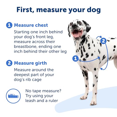 PetSafe Easy Walk Harness for Dogs - Pull-Free Walks - Patented Martingale Loop Design - Front Chest Leash Attachment - Co...