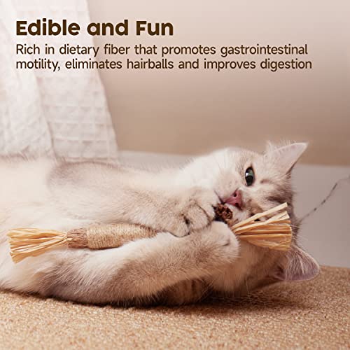 Potaroma 3 Pack Natural Silvervine Sticks Cat Toys, Catmint Silvervine Blend Sticks, Catnip Kittens Chew Toys Teeth Cleani...