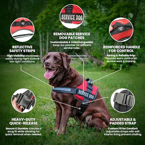 Industrial Puppy Service Dog In Training Vest With Hook and Loop Straps and Handle - Harnesses In Sizes From XXS to XXL - ...
