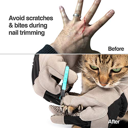 PetFusion Multipurpose Pet Glove for Grooming, Trips to Vet, Handling. [Puncture & Scratch Resistant, Water Resistant]. 12...