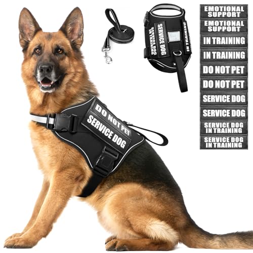 Service Dog Harness and Leash Set, Training Dog Vest with 10 Dog Patches, Emotional Support Therapy Dog Vest Harness for S...