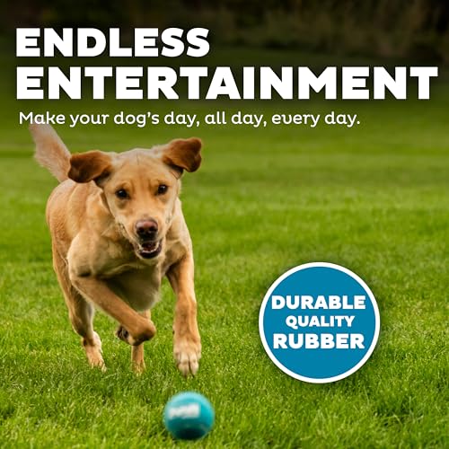 Outward Hound Squeaker Ballz – Squeaky Tennis Balls for Dogs Under 50 lbs, Interactive Dog Toy for Fetch & Training, Mediu...