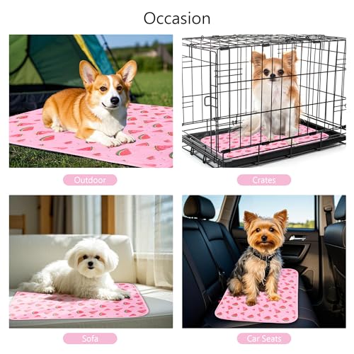 DELIFUR Cat Cooling Mat- Pet Cooling Mat Outdoor for Dogs Ice Pad for Kitten Cat Puppy Machine Washable (Small, Pink Water...