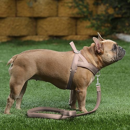 Plutus Pet No Pull Dog Harness with Breathable Mesh Padded, Adjustable Reflective Escape Proof Dog Harness, Quick Fit Dog ...
