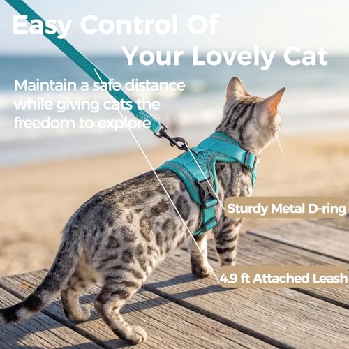 pangdi Cat Harness and Leash Set Escape Proof Tactical Large Kitten Harness Emotional Support Cat Vest, Turquoise, L