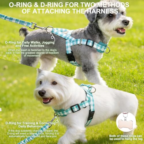 EXPAWLORER No Pull Small Dog Harness and Leash Set, Adjustable Soft Breathable Mesh Puppy Vest with Padded, Quick Fit Esca...