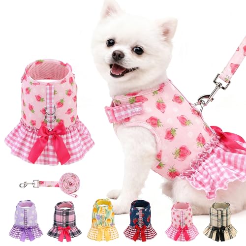 EXPAWLORER Dog Harness Small Medium Sized Dogs, Plaid Dog Dress Bowknot Harness and Leash Set, No Choke No Pull Soft Mesh ...
