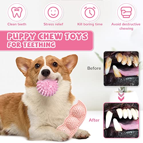 ABRRLO 6 Pack Puppy Teething Toys Cute Pink Puppy Chew Toys for Teething Small Breed Dog Chew Toy Interactive Pet Toy Set ...