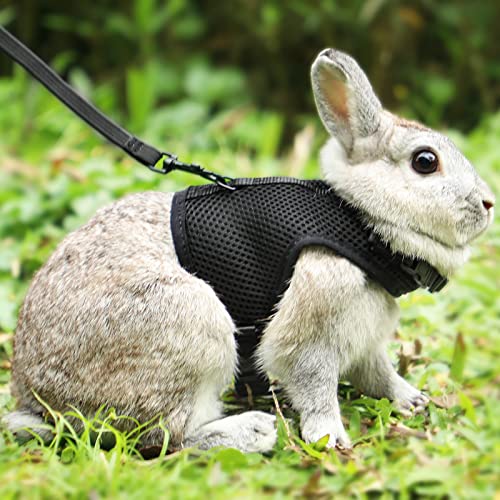 PETTOM Bunny Rabbit Harness with Stretchy Leash Cute Adjustable Buckle Breathable Mesh Vest for Kitten Small Pets Walking...