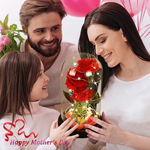 Dream of Flowers Mother Day Enchanted Red Gifts for Mom,Beauty and The Beast Rose in Glass Dome,Anniversary Rose Gifts for...