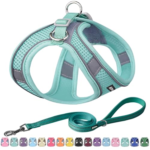 AIITLE Dog Harness, No-Pull Cat Harness with a Leash, Adjustable Reflective Dog Vest, Cat Harness Escape Proof, Outdoor Wa...