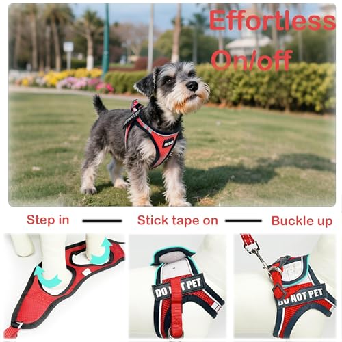 Service Dog Harness Vest Set Emotional Support Small Size Dog- 6PCS Removable Patches -Mesh Puppy Harness and Leash Set Tr...