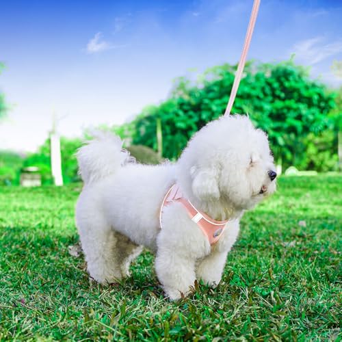 Hipubby Dog Harness and Leash Set, No Pull Soft Mesh Puppy Harness for Small Medium Dogs, Cats - Step in Reflective Breath...