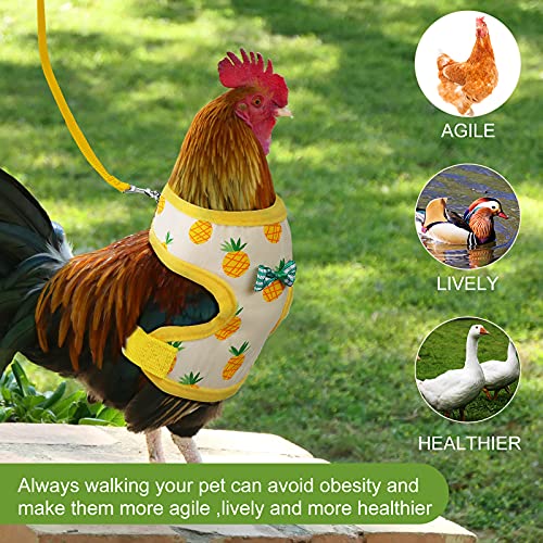 Frienda 2 Pcs Adjustable Chicken Harness and Leash Set Spring Summer Comfortable Elastic Hen Vest Breathable Harness for H...
