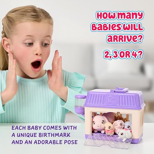 Little Live Pets Bunny Mini Interactive Live Pet Toy Set, Hutch Animal Playset with 3 Surprise Babies, 20+ Sounds, Bunny A...