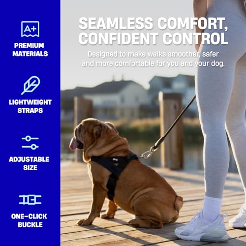 Dog Friendly Co. Dog Harness | Chafe Resistant Webbing, Adjustable Neck & Chest, and Heavy Duty D-Ring | Sturdy, Comfortab...