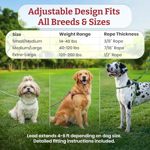 Harness Lead No Pull Dog Harness and Leash Set, Anti Pull Dog Harness for All Breeds and Sizes, One-Piece Cushioned Rope D...