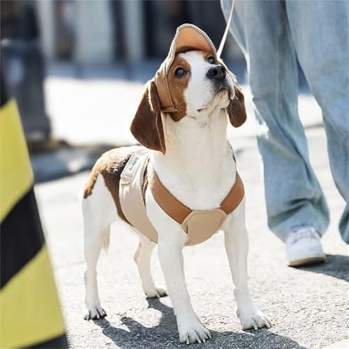 ETOSEM Dog Harness with Hat Set, Blue Gingham Pattern, Adjustable Safety Buckle and Leash Attachment (Brown, Large(8-12lb))