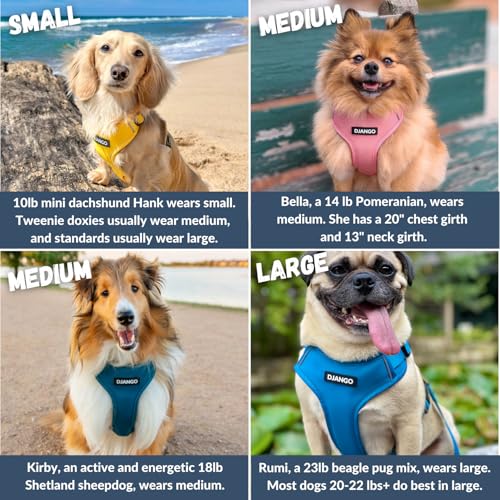 DJANGO Adventure Dog Harness - Stylish and Durable Medium Dog Harness for Outdoor Adventures and Everyday Wear - Forest Gr...
