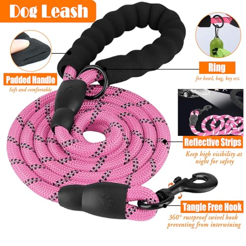 LOBEVE No Pull Dog Harness, Collar & Leash Set | Includes Dog Seat Belt, Collapsible Bowls & Poop Bag Dispenser. Ideal for...