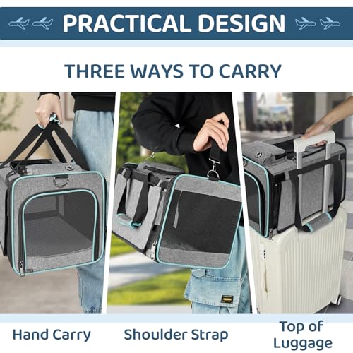 GAPZER Soft-Sided Pet Carrier for Air Travel 18x11x11 Inch - Underseat Cabin Carry Bag for Small Cats & Dogs Under 15 lbs