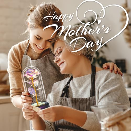 Otlonpe Mothers Day Flowers Gifts for Mom from Daughter Son, Preserved Forever Glass Light Up Rose Gifts for Grandma Wife ...