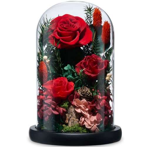 CuteWelt Preserved Roses,Forever Fresh Flowers 7.48in,Gift for Women,Mom,Grandma,Wife,Girlfriend,Sister,and Daughter Perfe...