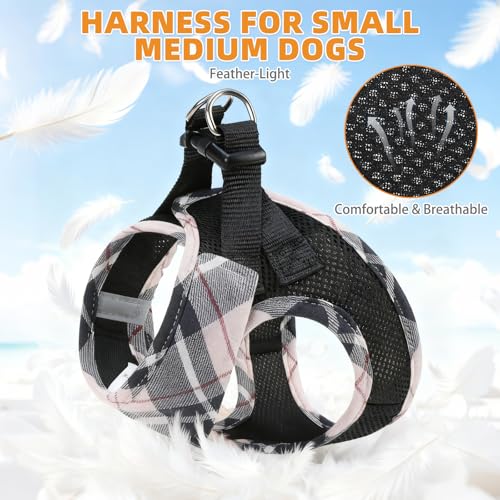 KOOLTAIL Small Dog Harness and Leash Set, Cute Puppy Harness, Step in No Pull Soft Mesh Pet Vest Harness Collar for Small ...