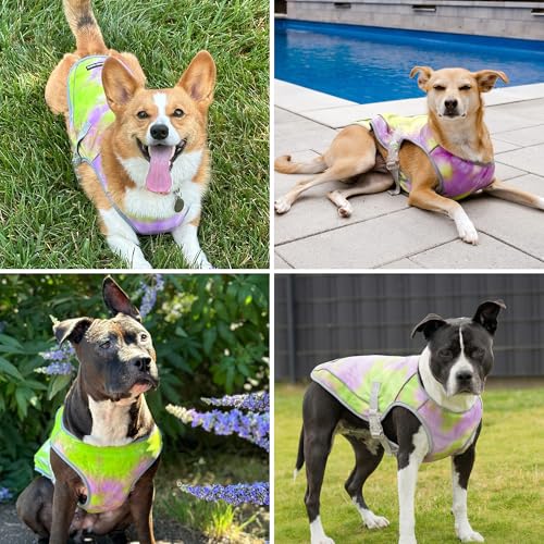 Spark Paws Dog Cooling Vest - SPF 50 UV Sun Protection - Summer Heat Relief Gear for Dogs, Lightweight, Evaporative Coolin...