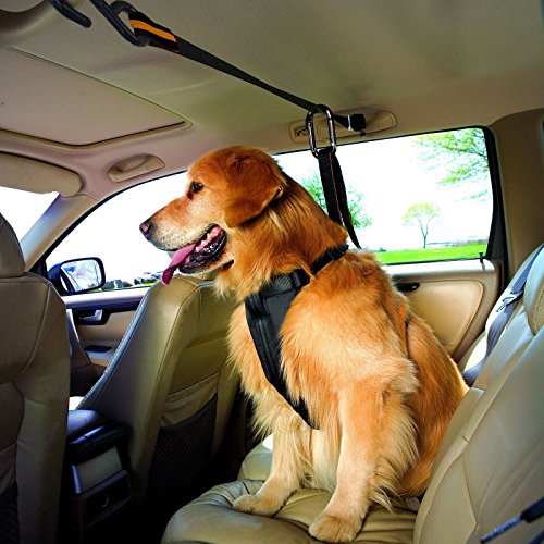 Kurgo Auto Zip Line - Backseat Zipline Harness for Car Travel - Dog Car Accessory for Safe Rides - Adjustable Pet Tether -...