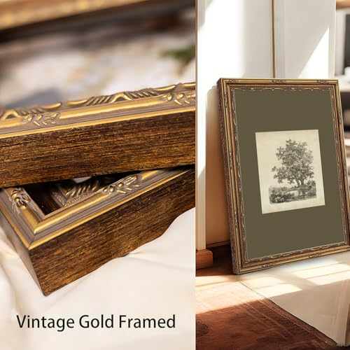 Kabcod Vintage Gold Framed Tree Wall Art Prints, Farmhouse Tree Forest Painting,Natural Sketch Landscape Pictures,Vintage ...