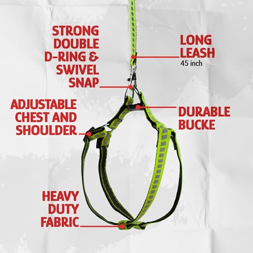 Filbert Cat Harness and Leash Set with Reflective Strip, Thin Cat Harness Escape Proof with Leash, Step-in, Adjustable, In...