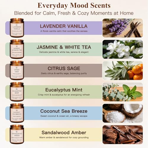 6-Pack Scented Soy Candle Set – Lavender Vanilla, Eucalyptus, Sandalwood, Jasmine & White Tea, Coconut, Sage | Natural Lon...