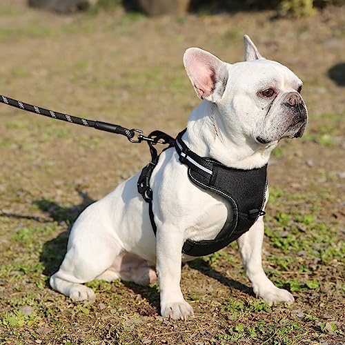 Amazon Basics No-Pull Dog Harness, Adjustable Soft Padded Vest with Reflective Stripes, Large, Black