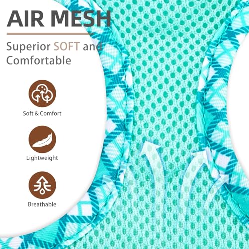 PUPTECK Dog Harness and Leash Set for Small Medium Dogs No Pull Step-in Soft Mesh Puppy Cat Vest Harnesses Reflective at N...