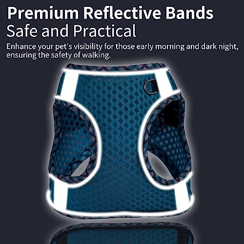 JOYPAWS Summer Soft Dog Harness and Leash Set,Ultra Thin Breathable Diamond Mesh, Step in Adjustable Dog Harness with Padd...
